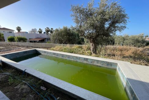 photo_2024-05-03_19-01-06