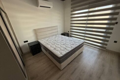 photo_2025-02-13_14-33-51