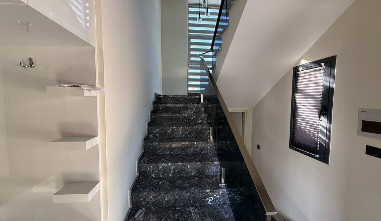 photo_2025-02-13_14-33-52