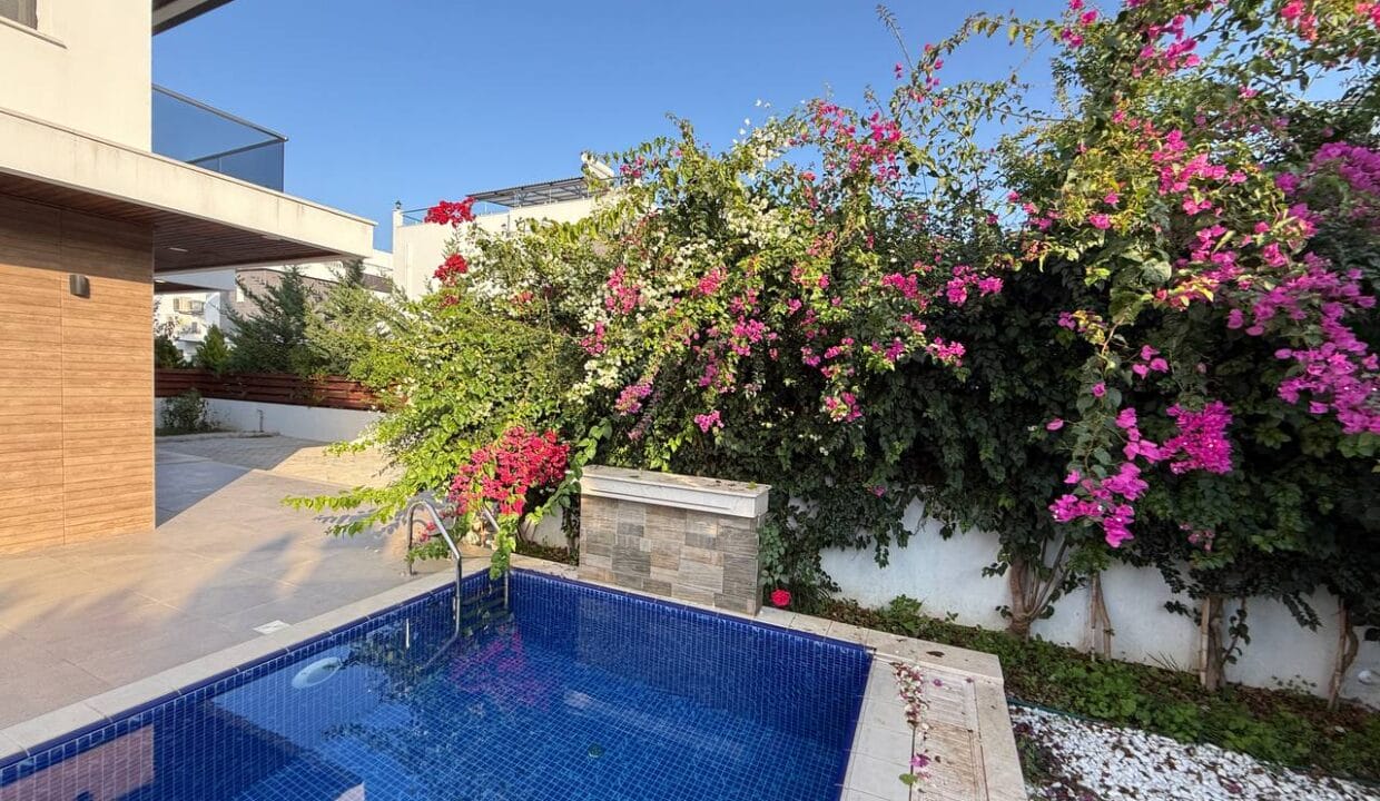 photo_2025-02-13_14-33-52 (2)