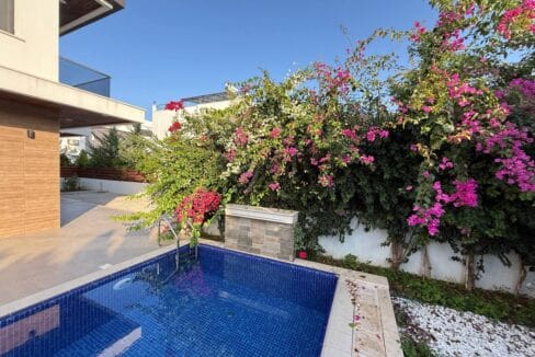 photo 2025 02 13 14 33 52 2