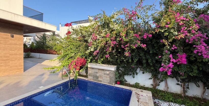 photo 2025 02 13 14 33 52 2