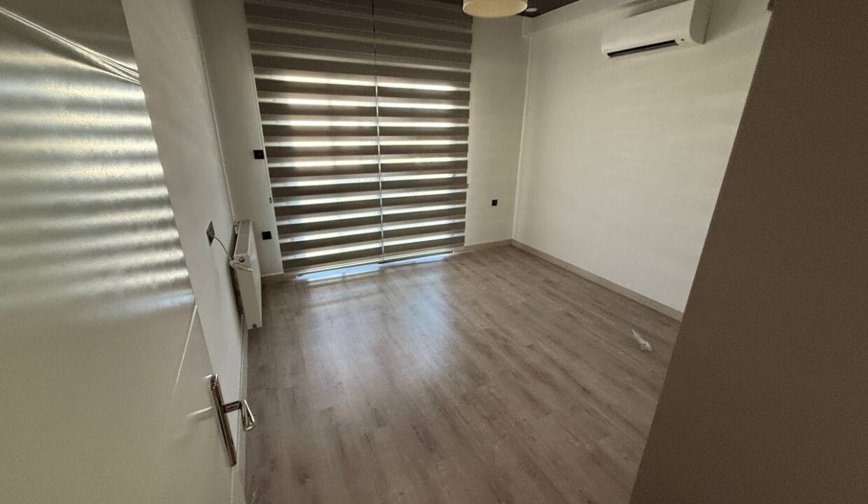 photo_2025-02-13_14-33-57