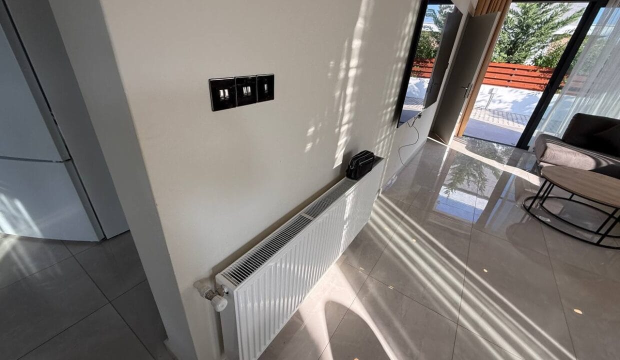 photo_2025-02-13_14-34-03