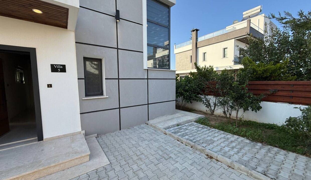 photo_2025-02-13_14-34-09