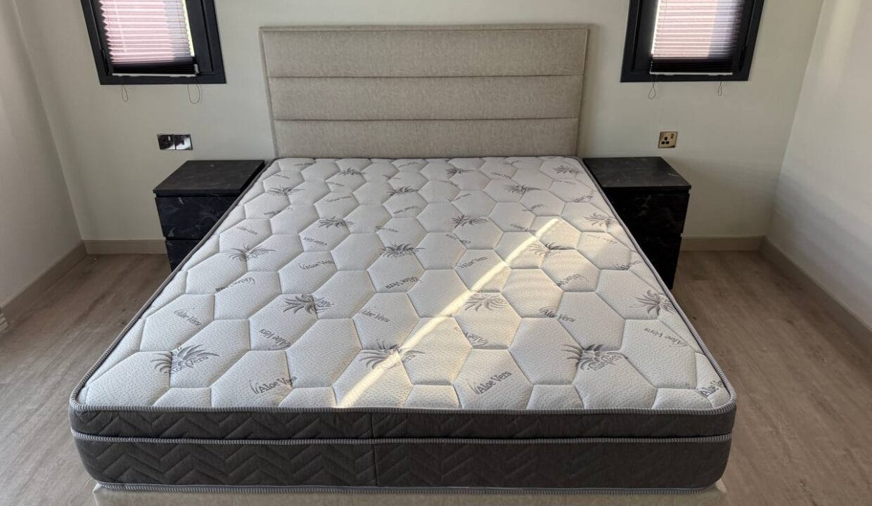 photo_2025-02-13_14-34-15