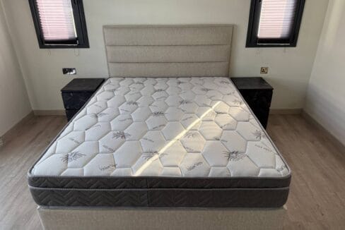 photo_2025-02-13_14-34-15