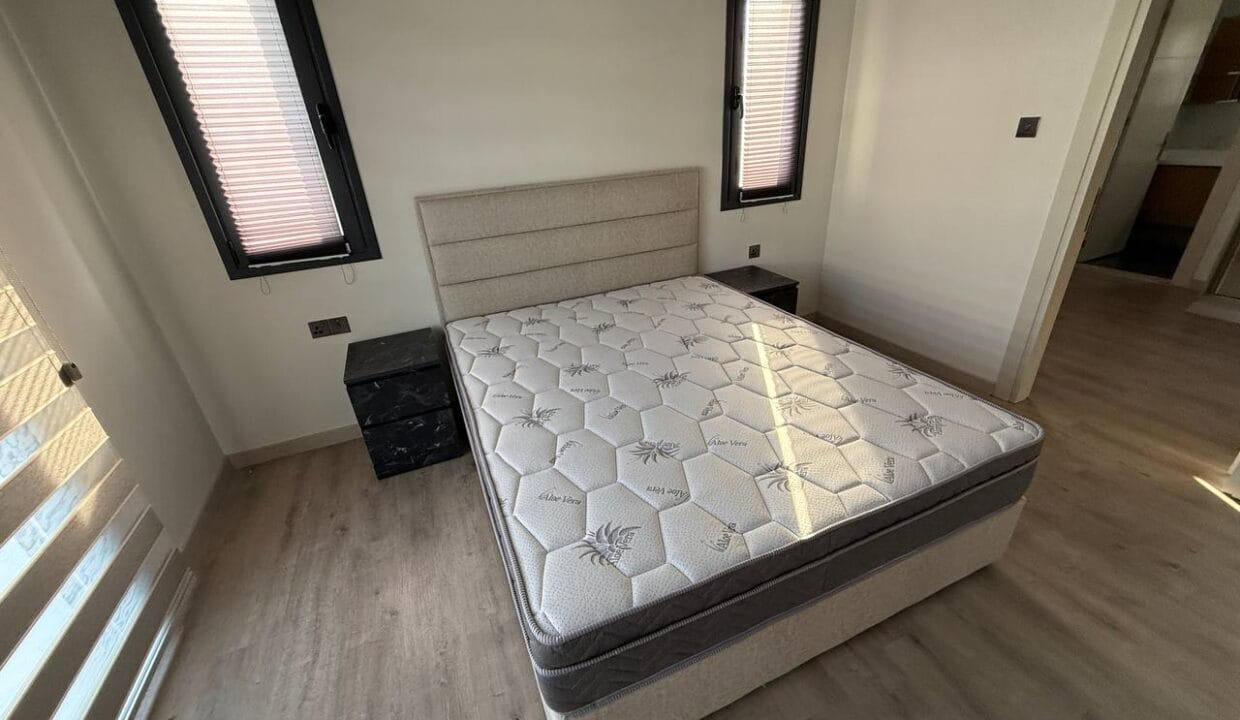 photo_2025-02-13_14-34-16