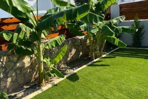 photo 2023 03 17 12 34 44