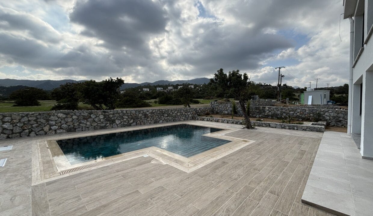 photo_2025-02-13_18-31-55