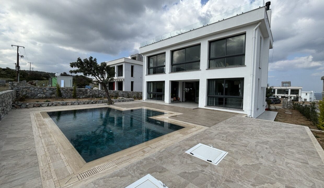 photo_2025-02-13_18-31-56 (2)