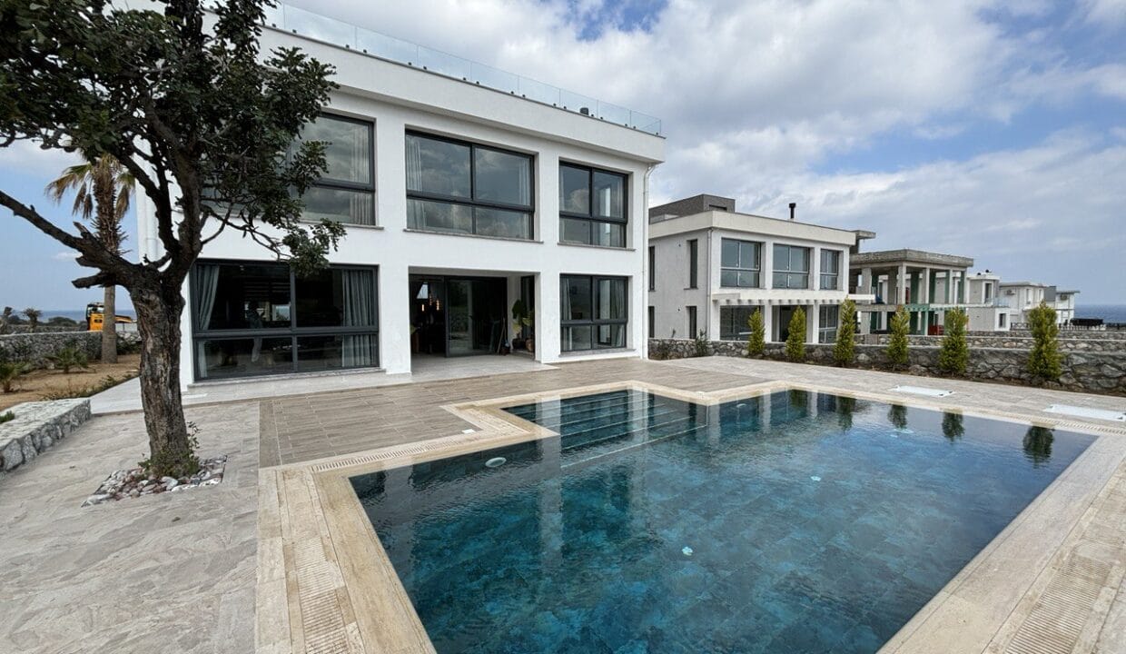 photo_2025-02-13_18-31-57