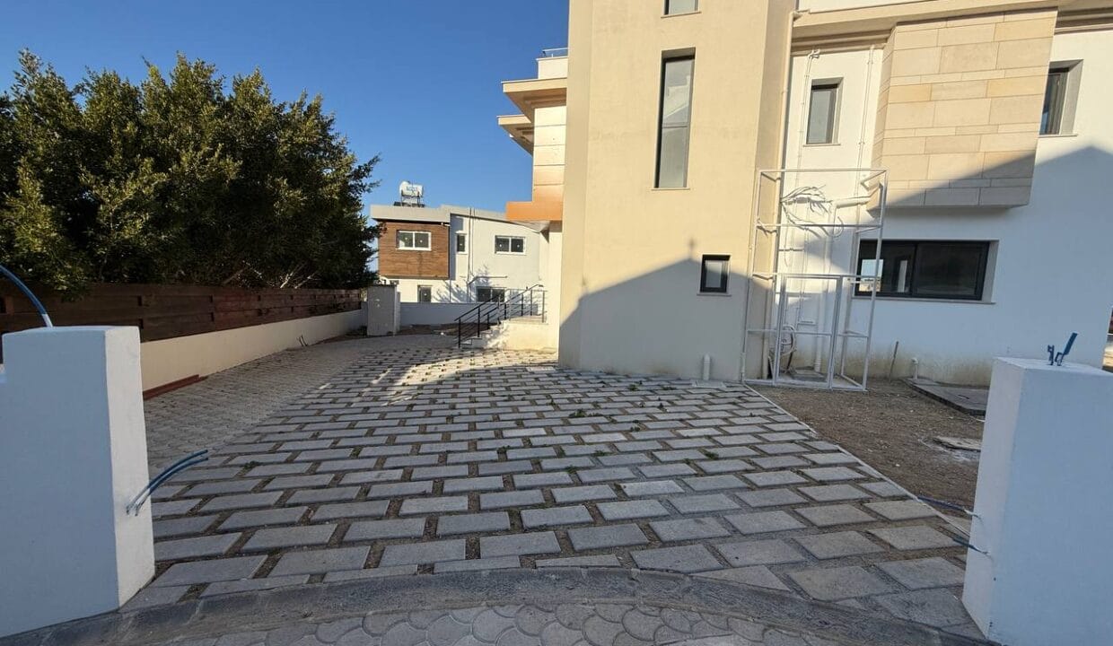 photo_2025-02-01_16-47-13