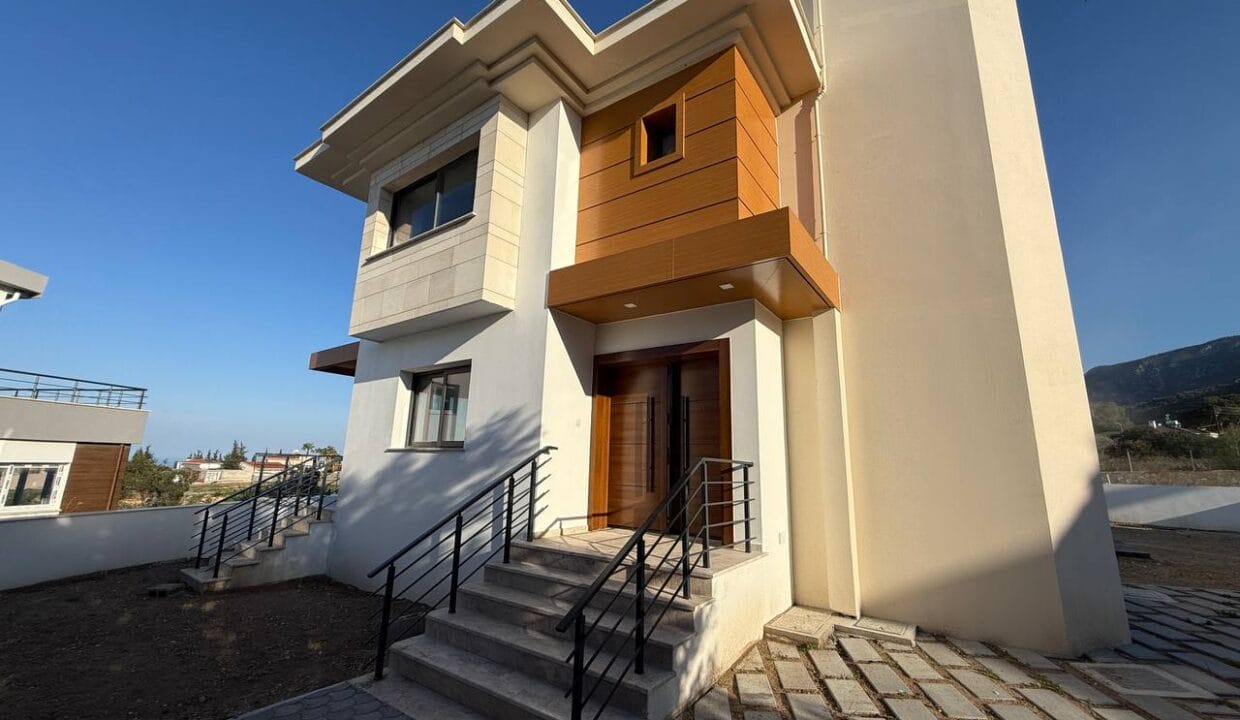 photo_2025-02-01_16-47-14