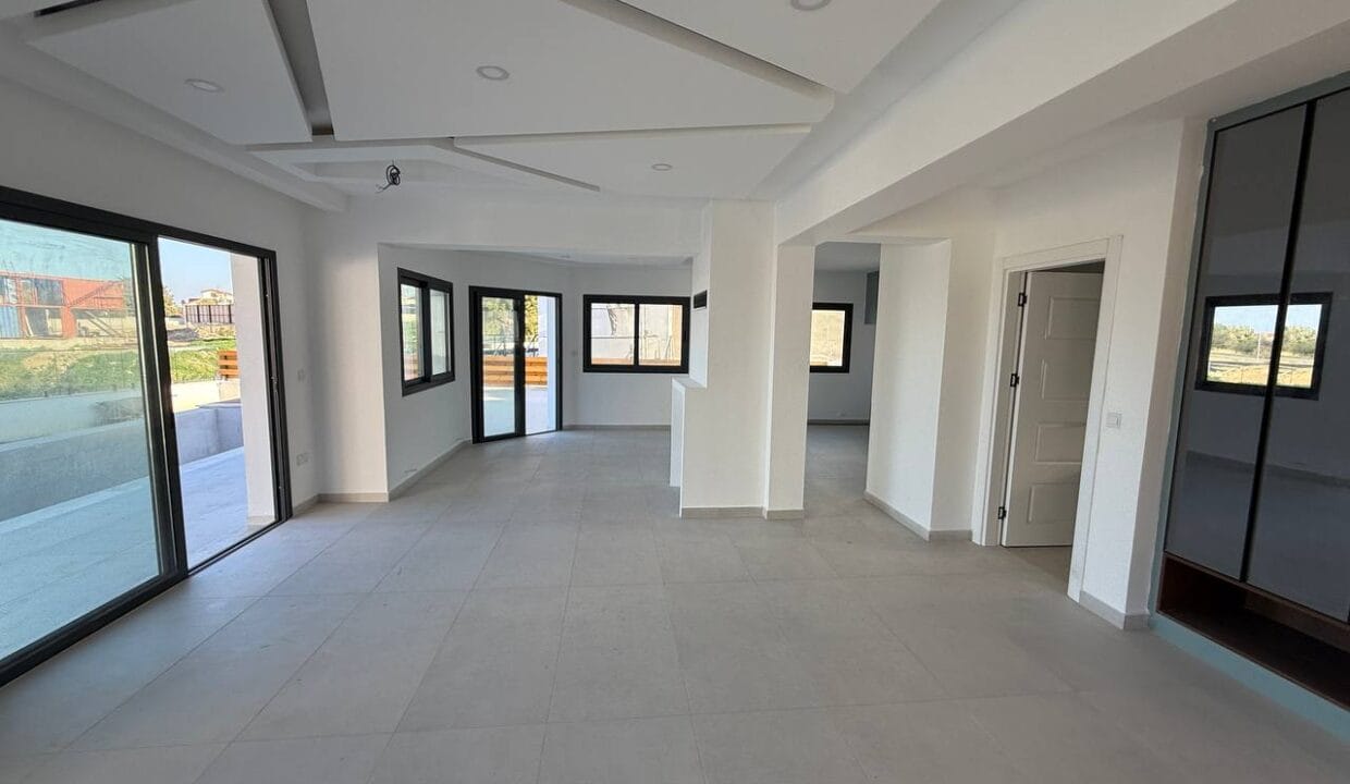 photo_2025-02-01_16-47-16 (2)