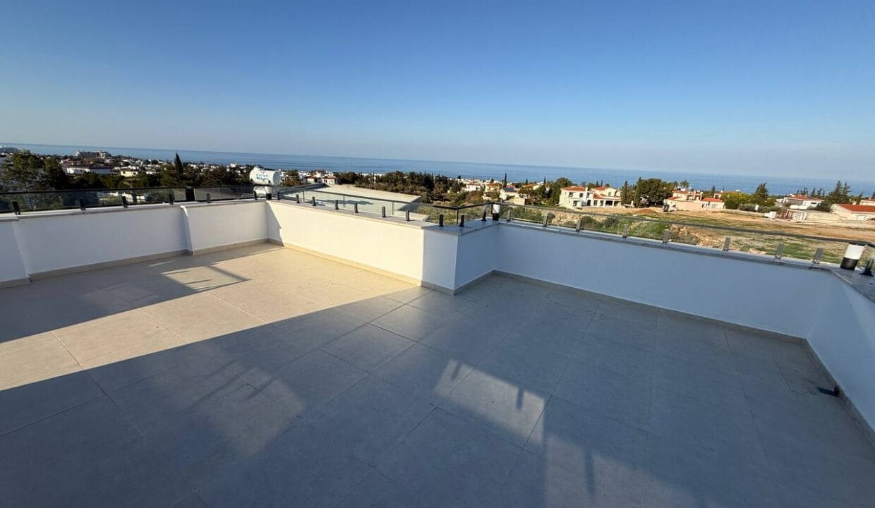 photo_2025-02-01_16-47-18