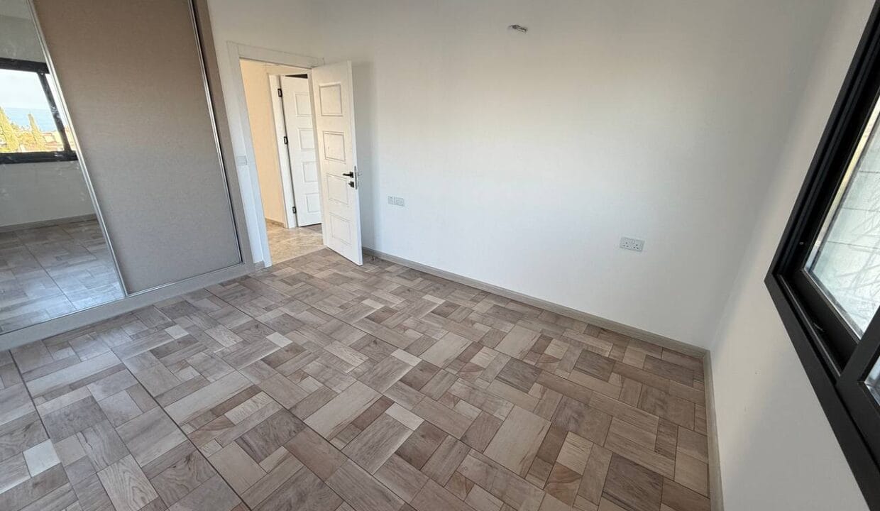 photo_2025-02-01_16-47-19 (2)