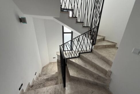 photo_2025-02-01_16-47-19