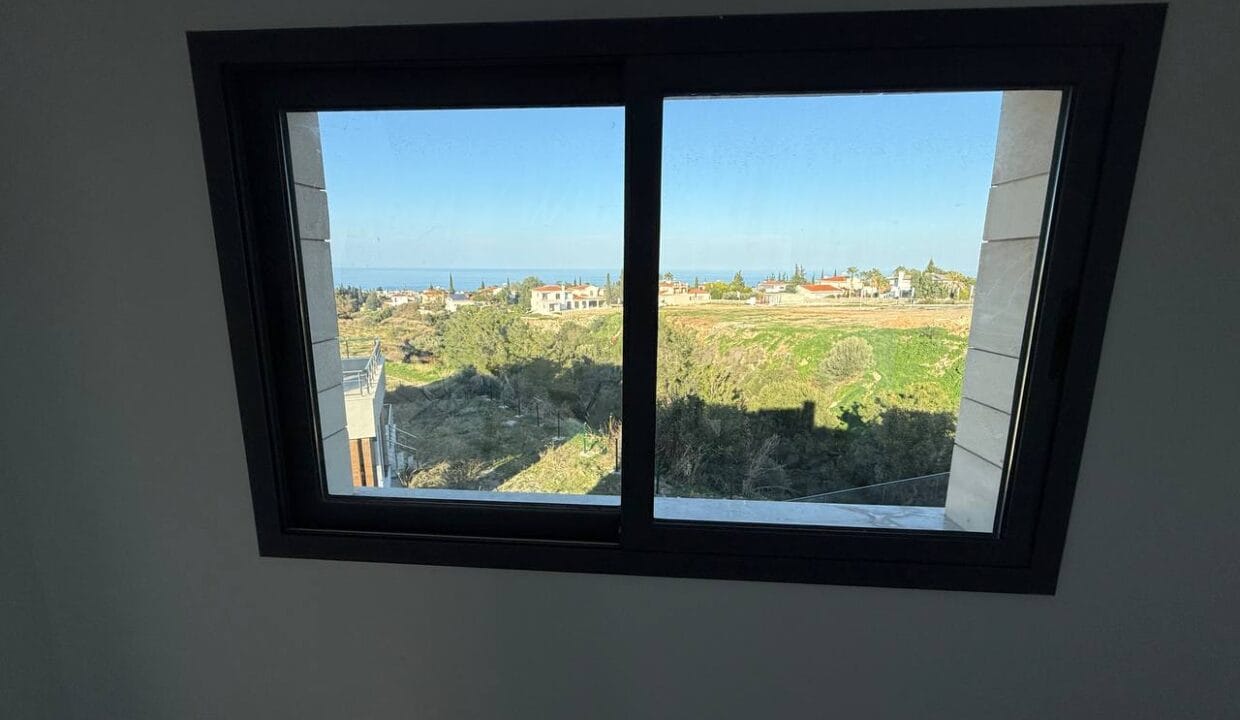 photo_2025-02-01_16-47-20 (2)