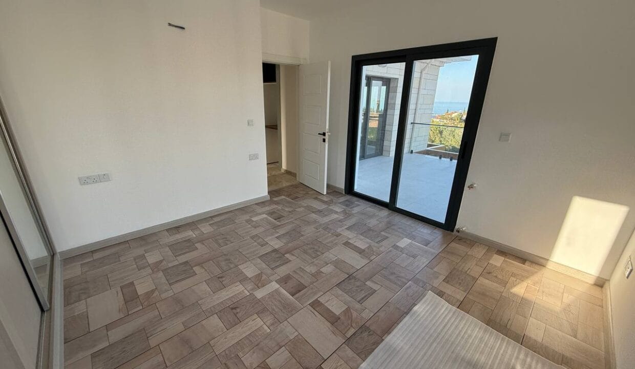 photo_2025-02-01_16-47-40