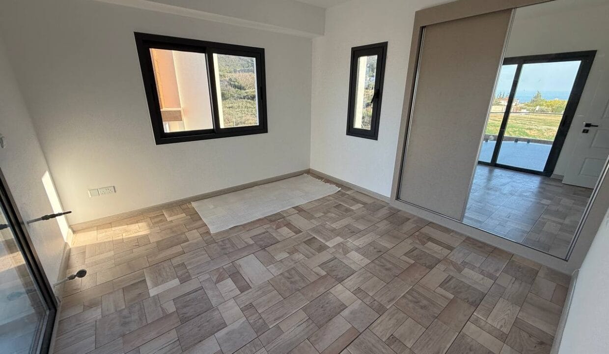 photo_2025-02-01_16-47-41