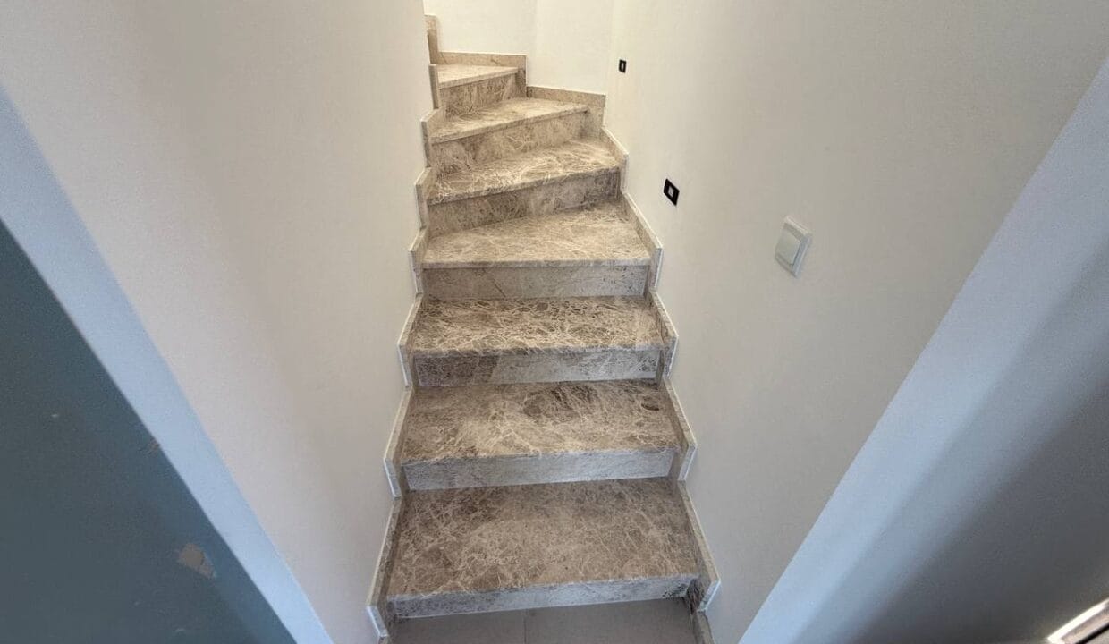 photo_2025-02-01_16-47-42 (2)