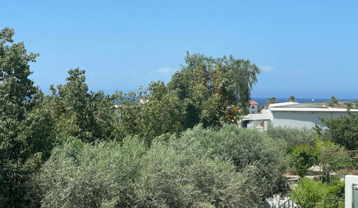 photo_2024-05-03_19-00-58