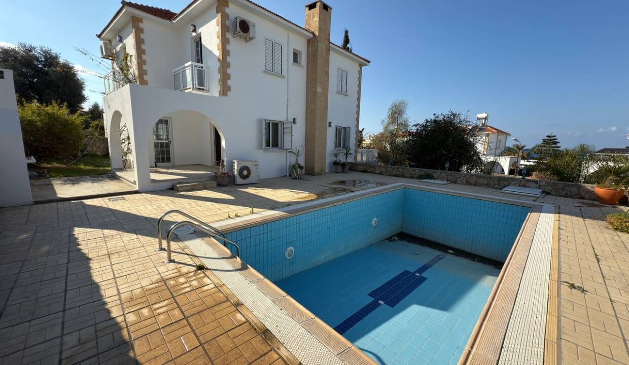 photo_2025-01-31_16-41-47