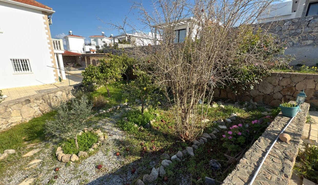 photo_2025-01-31_16-41-48