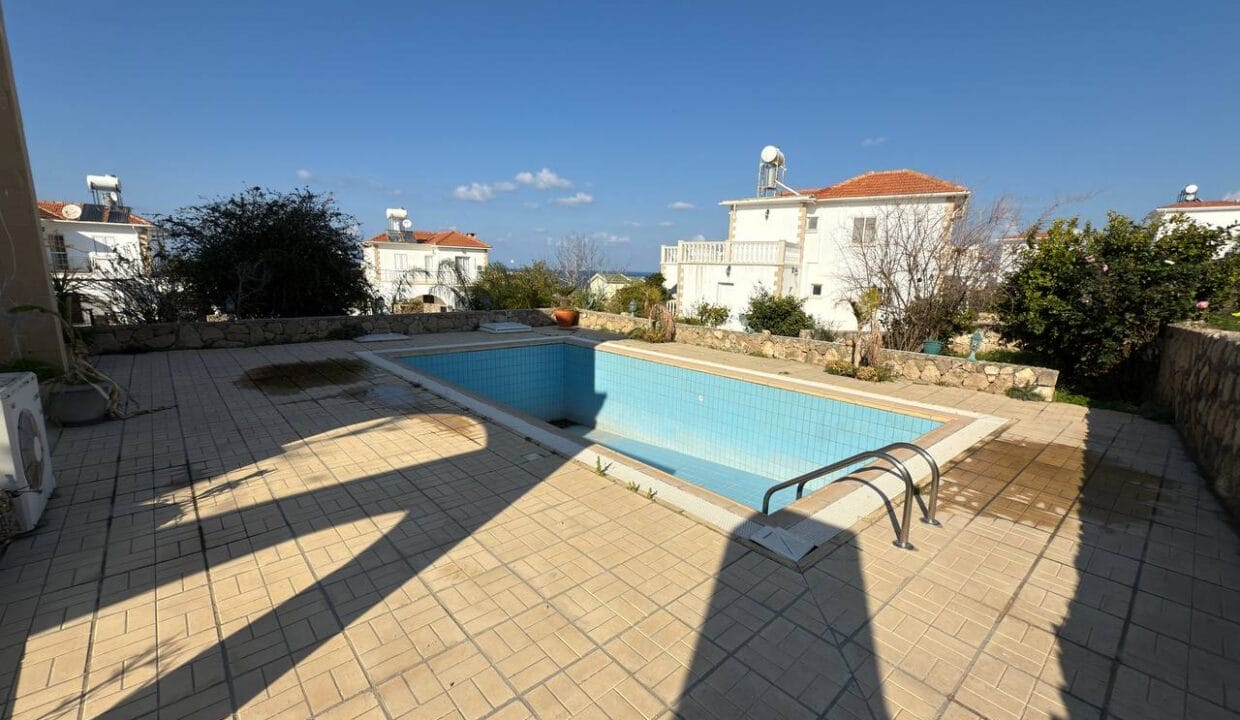 photo_2025-01-31_16-41-49