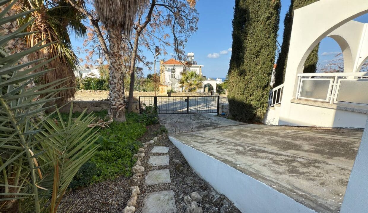 photo_2025-01-31_16-41-53 (2)