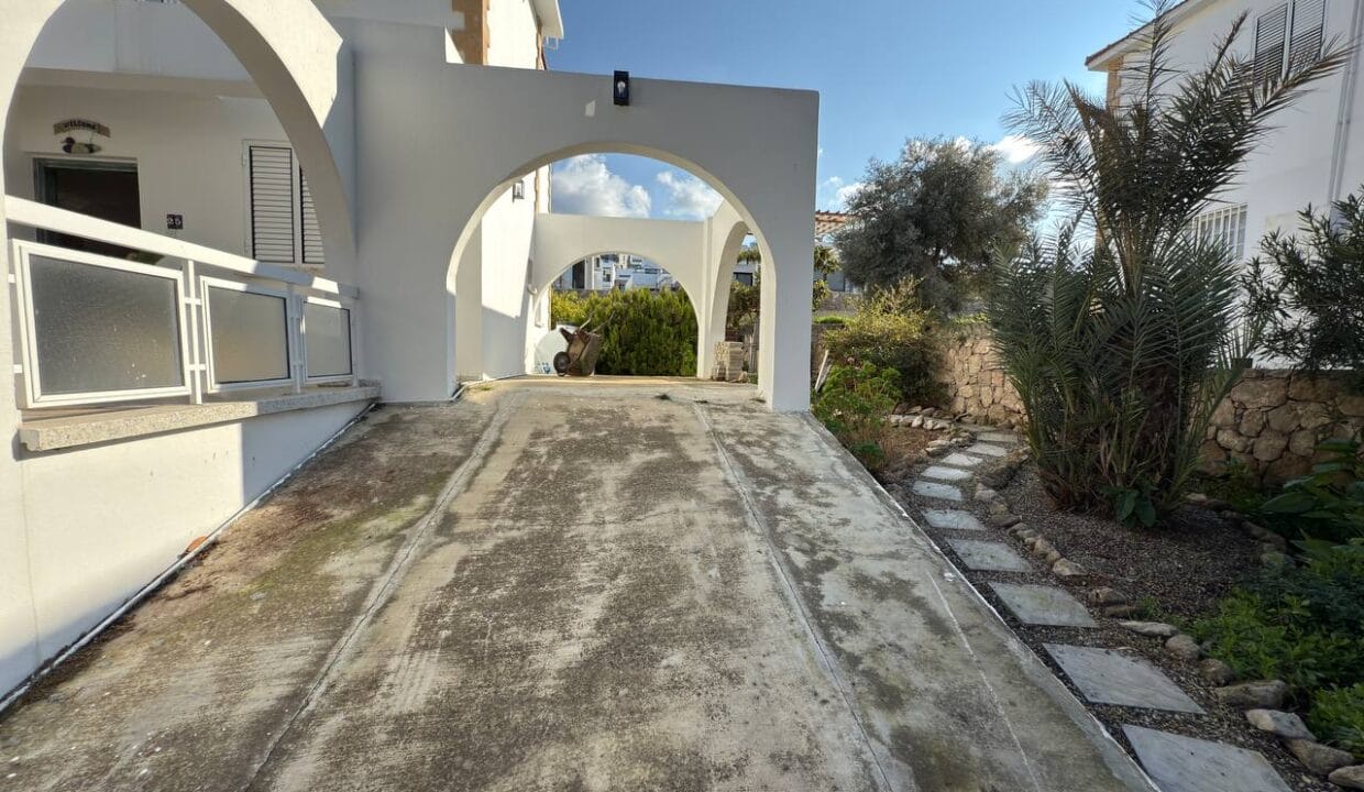 photo_2025-01-31_16-41-55