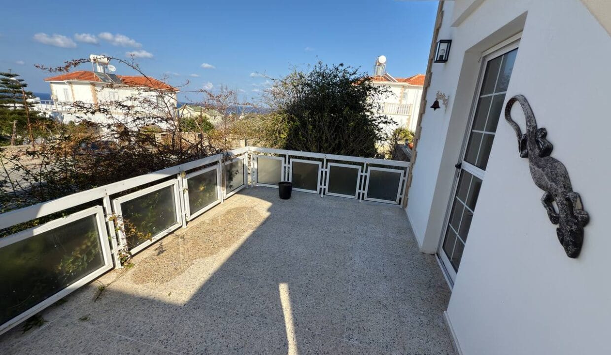 photo_2025-01-31_16-41-56