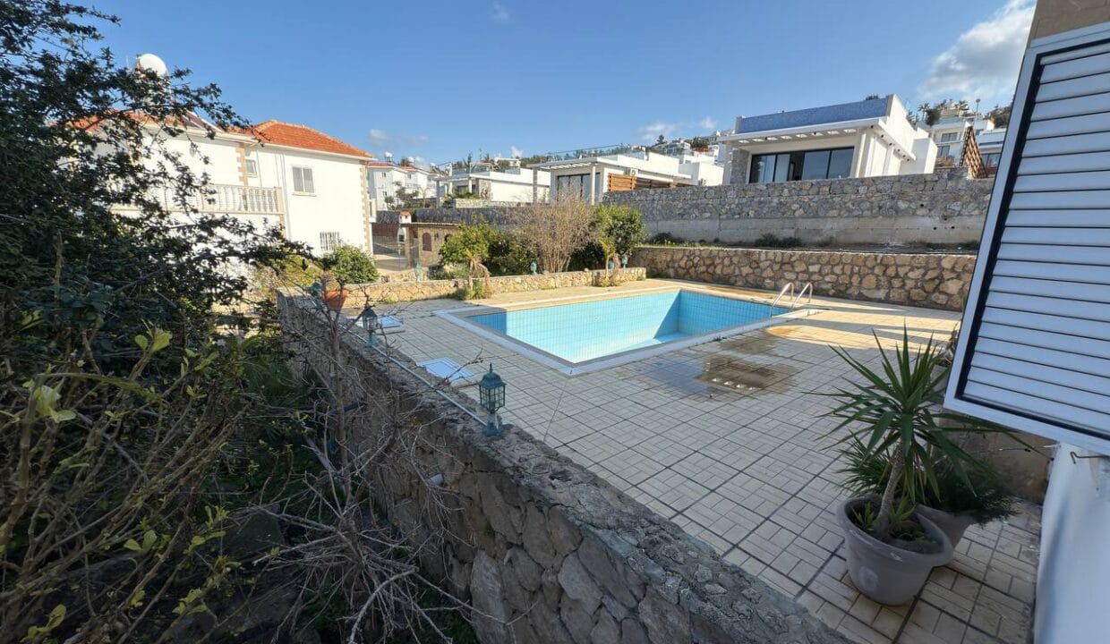 photo_2025-01-31_16-41-57