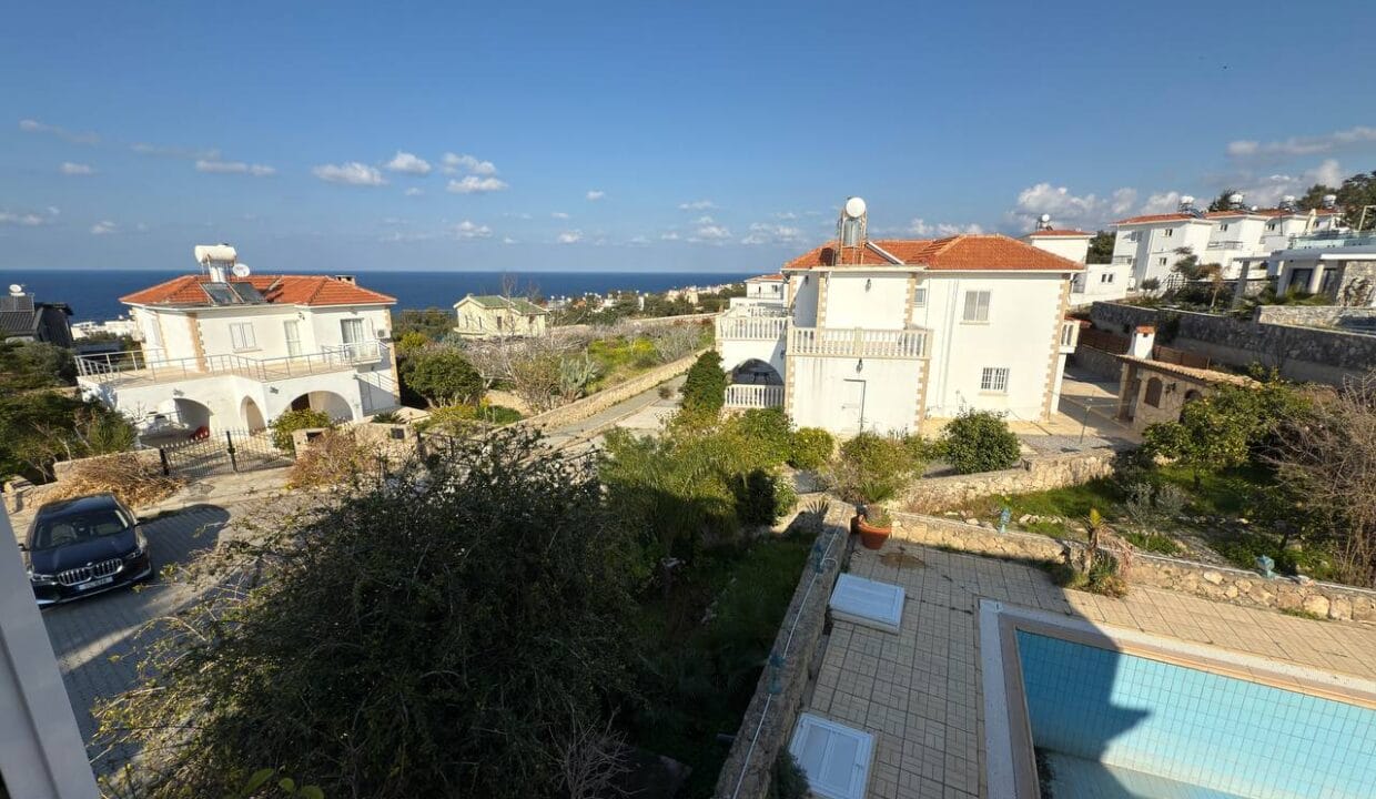 photo_2025-01-31_16-42-00