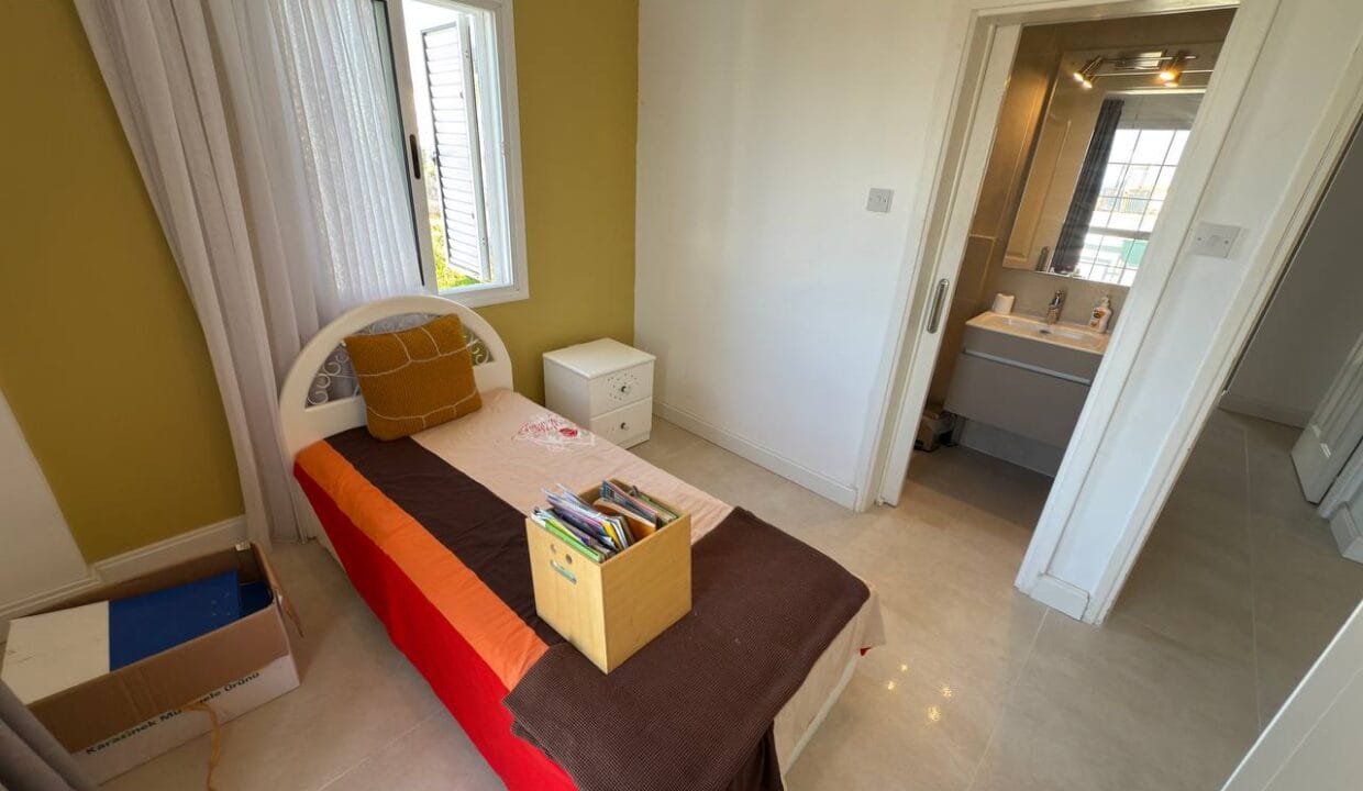 photo_2025-01-31_16-42-06 (2)