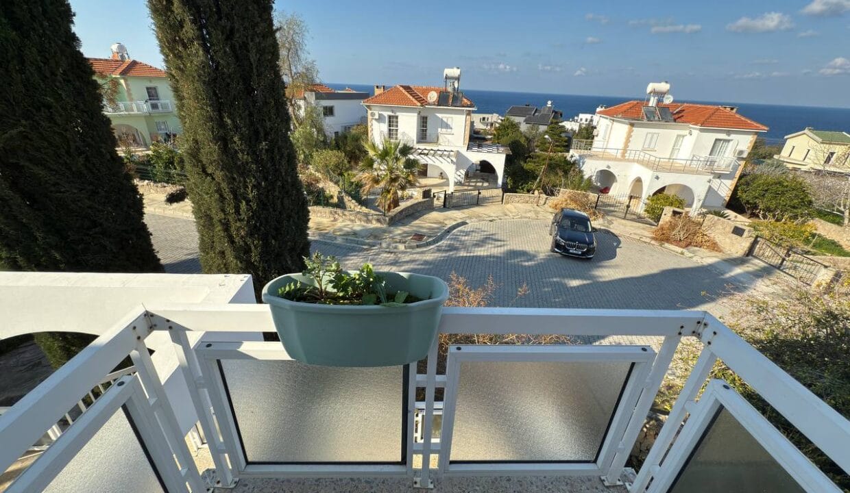 photo_2025-01-31_16-42-09