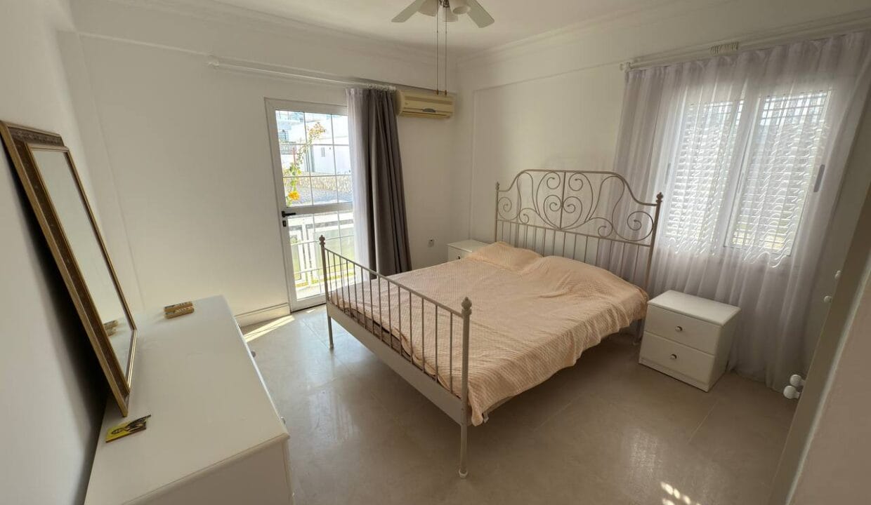 photo_2025-01-31_16-42-14