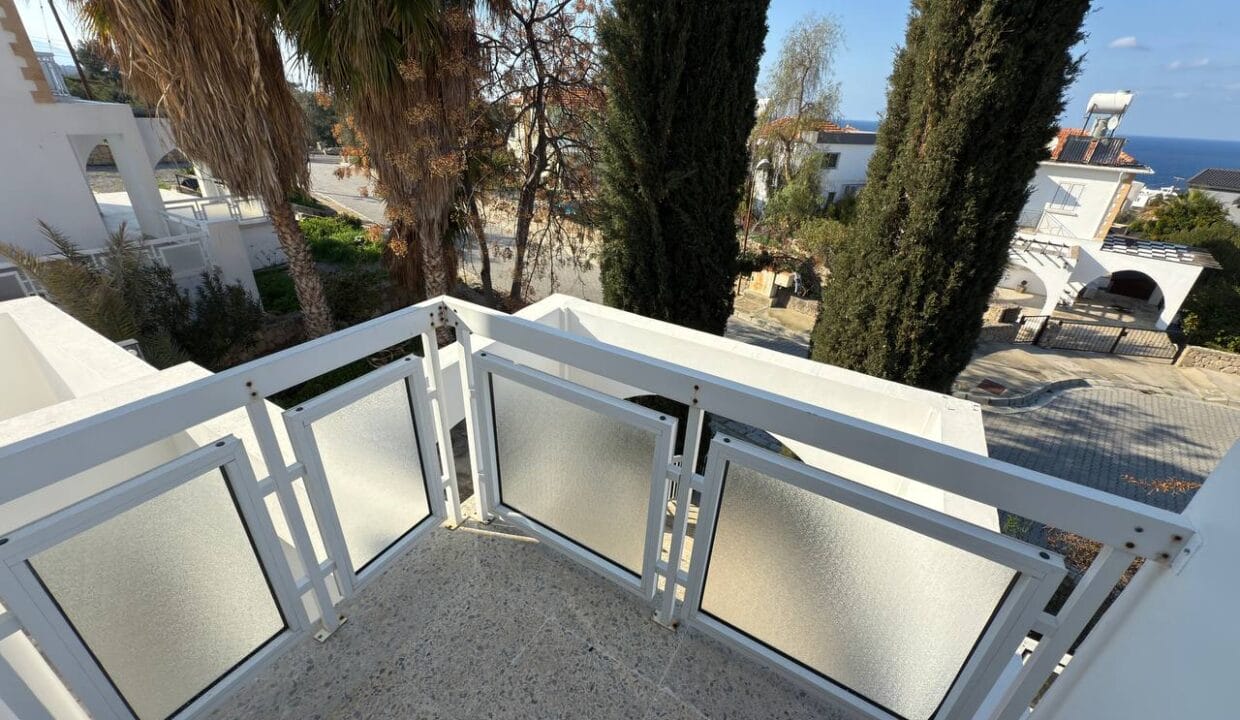 photo_2025-01-31_16-42-18