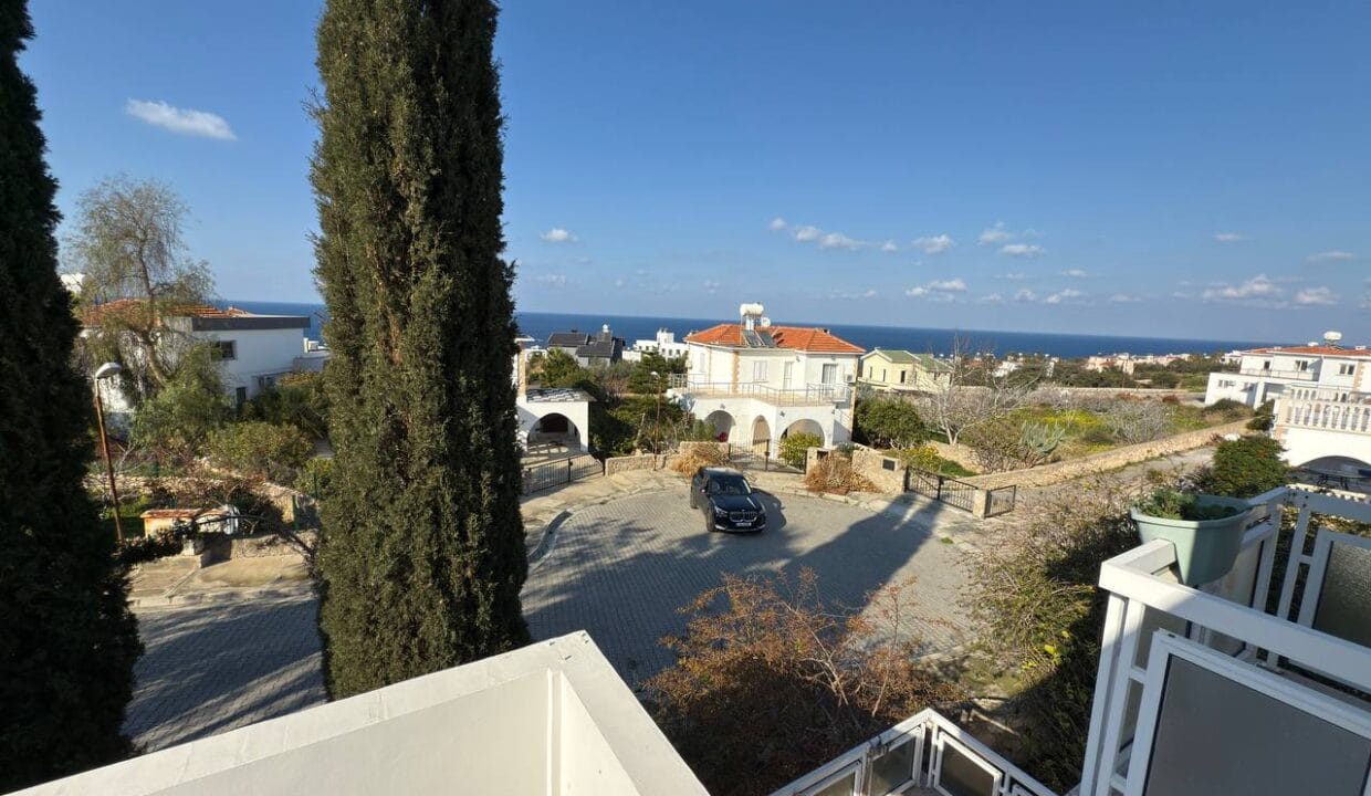 photo_2025-01-31_16-42-20