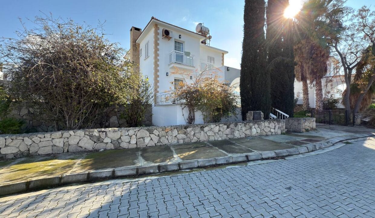 photo_2025-01-31_16-42-23