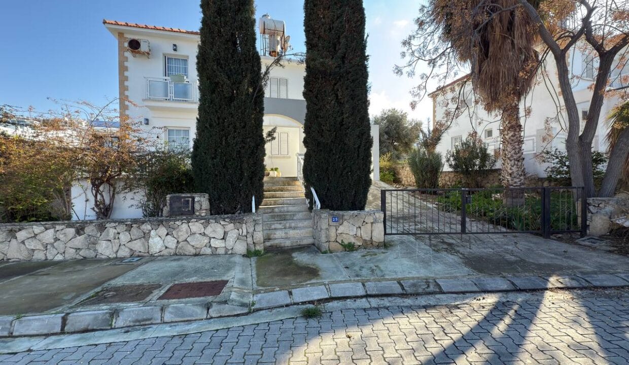 photo_2025-01-31_16-42-25