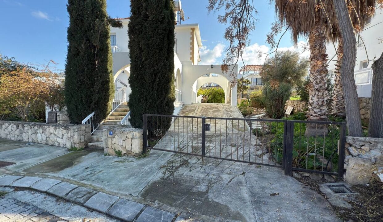 photo_2025-01-31_16-42-26