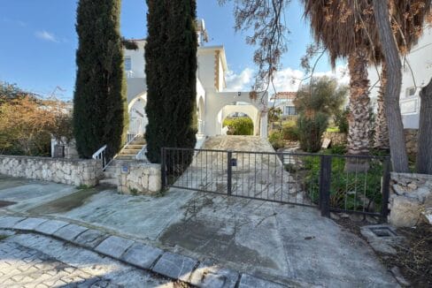 photo_2025-01-31_16-42-26