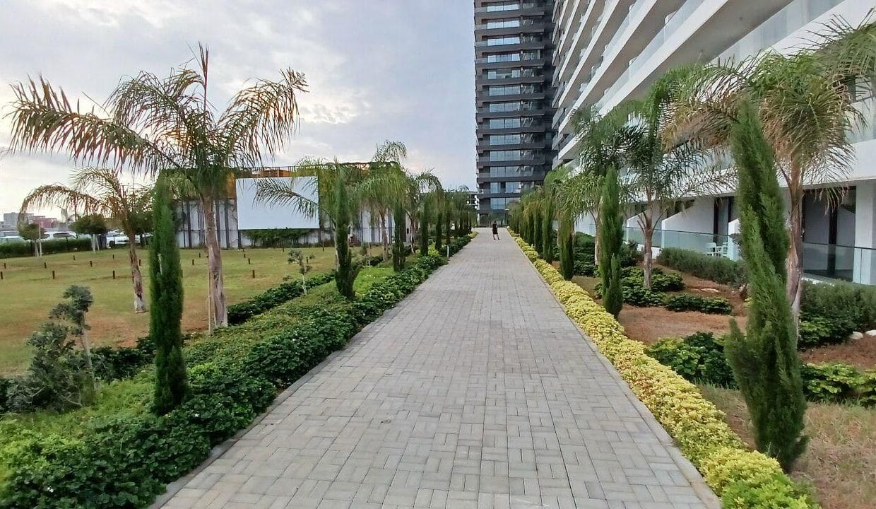 46081756-7137-4220-8059-588ffa819435