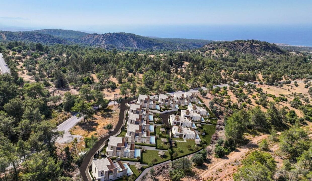 photo_2025-02-12_17-52-02