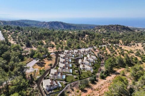 photo_2025-02-12_17-52-02