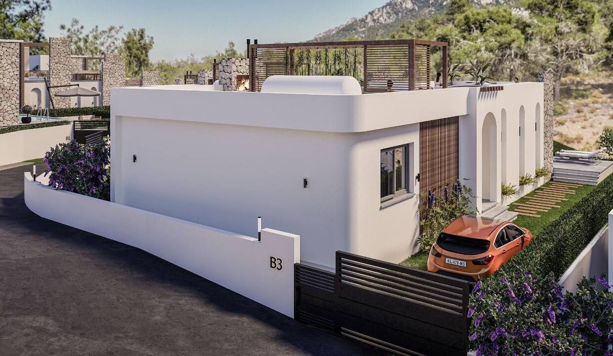 photo_2025-02-12_17-52-03