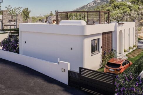 photo_2025-02-12_17-52-03