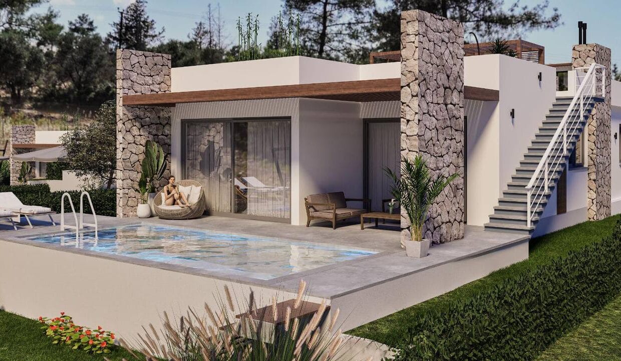 photo_2025-02-12_17-52-11